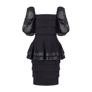 Descriptive image text