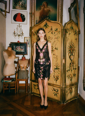 Descriptive image text