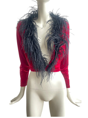 Descriptive image text