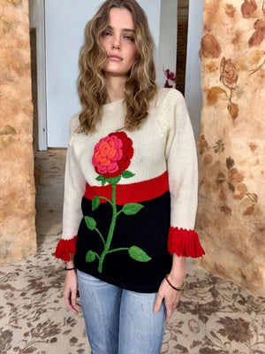 Descriptive image text