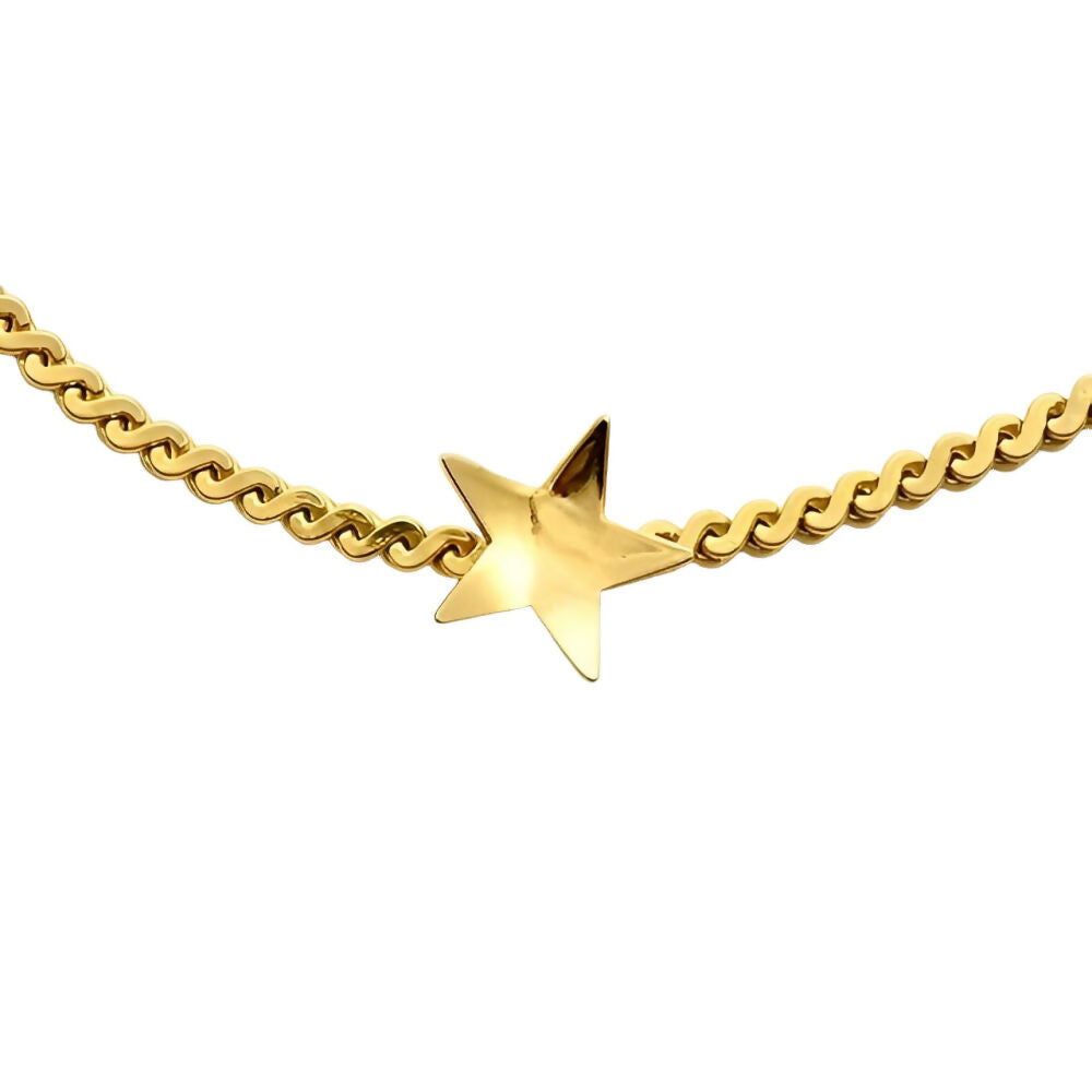 gold-plated-serpentine-chain-necklace-with-gold-star - 2z(1)