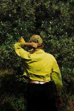 Descriptive image text