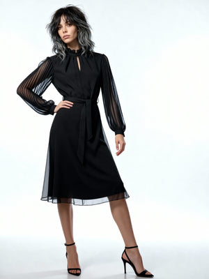 Descriptive image text